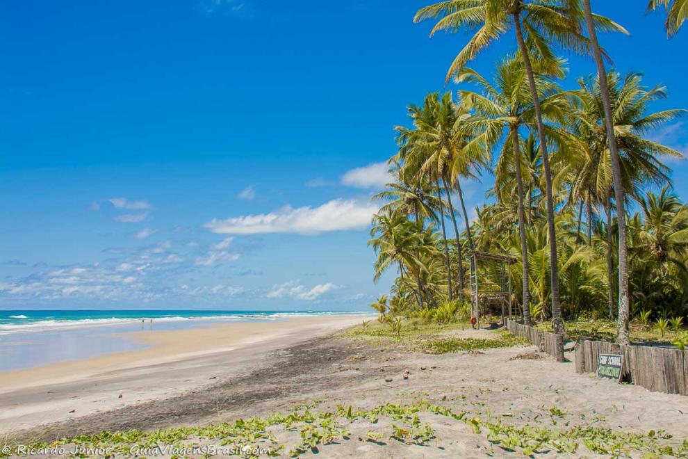 Imagem de um dia maravilhoso de sol na Praia de Itacarezinho.